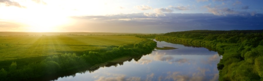 Dr. Mitchell Saskin, NYC Psychotherapist, Hypnotherapy, Mindfulness, School Consultant,Therapist, Upper West Side, UWS, Central park West, CPW