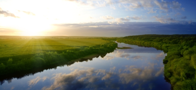 Dr, mitchell saskin, Upper West Side, Psychotherapist, Therapist, Psychologist