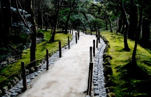 NYC Psychotherapist, Therapist, Counselor, Holistic Therapist, Upper West Side, NY